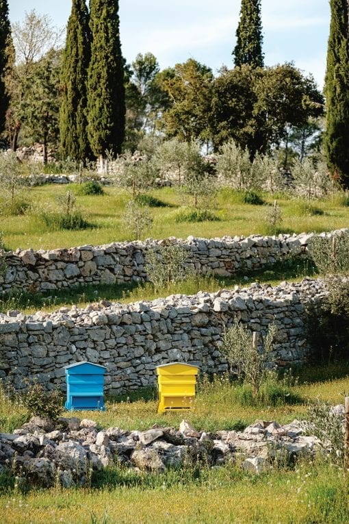 Martine beehives