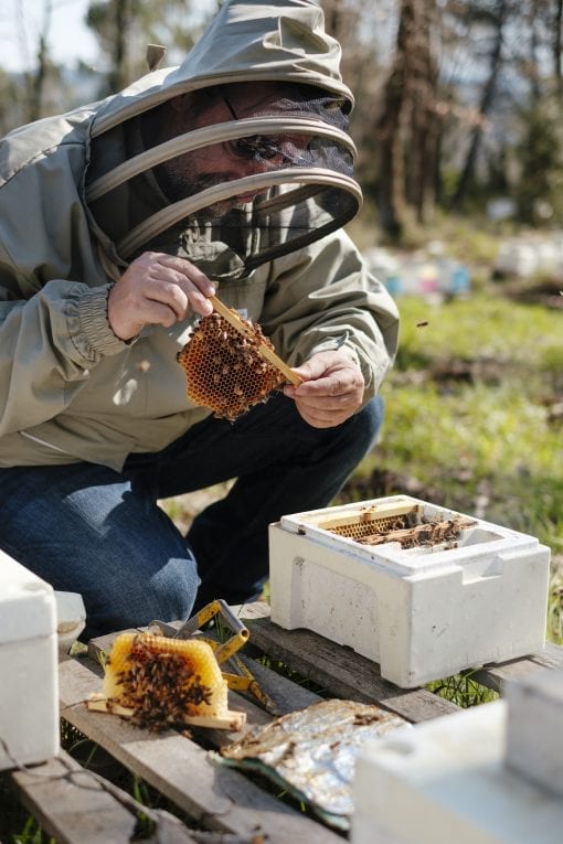 Martine Beekeeper